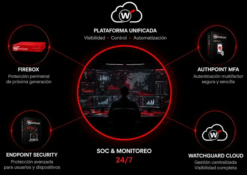 NGIS CIBERSEGURIDAD