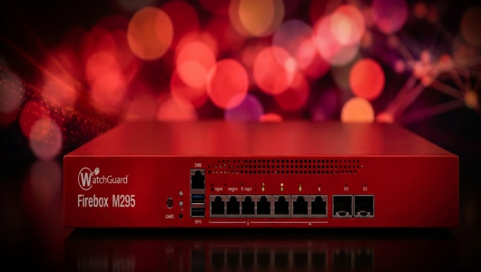 m295 firebox